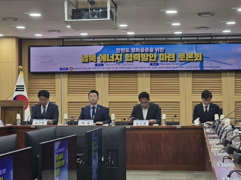 한반도 평화공존을 위한 남북에너지 협력방안